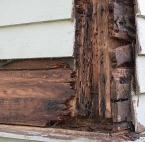 Rotting and damaged wood from termite infestation