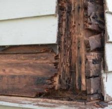 Termite Damage and rotting wood